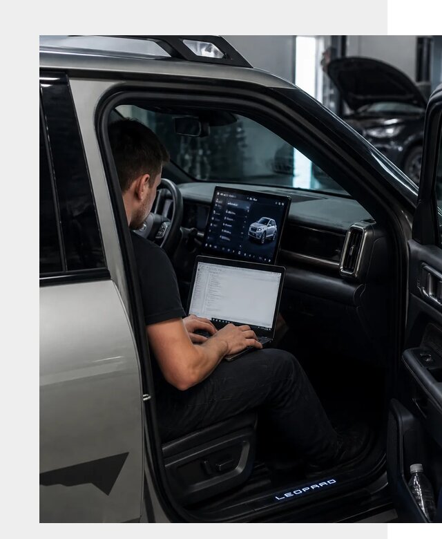 Русификация BYD Leopard 3 в Морозовске по цене от 20429 р. | ФастМобиль-Мрз